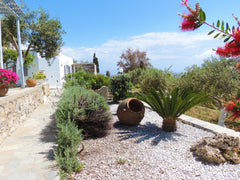 Apostolis Windmill is a traditional hotel of studios and apartments in Mykonos,  Greece Apostolis Windmill traditional Apartments Entire rental unit vacation rental 13742963