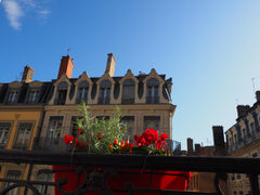 Notre appartement est très lumineux, exposé Sud et Est, et en plein cœur de la P Lyon, France T3 lumineux entre Bellecour et Cordeliers Entire rental unit vacation rental 36961110