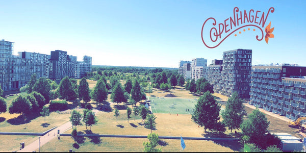 If you are looking for the perfect, you do not need to look any further. <br />T Copenhagen, Denmark The Penthouse Apartment. Entire rental unit vacation rental 27988209