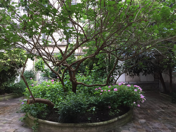 Discover Paris in our 3 room apartment of 50 m2 200m from the Butte Montmartre a Paris, France Paris family flat — 3 rooms, 50m2 near Montmartre Entire rental unit vacation rental 13459944