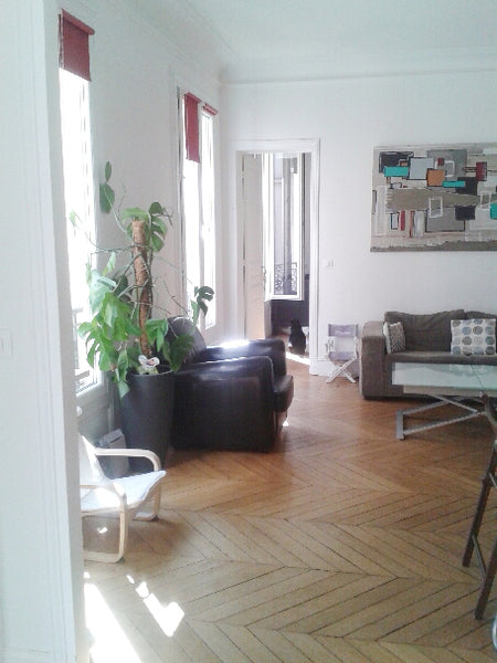 A proximité du métro Barbès l'appartement est à la frontière du 9ème et du 18ème Paris, France Appartement Familial Paris 9ème Entire rental unit vacation rental 19281648