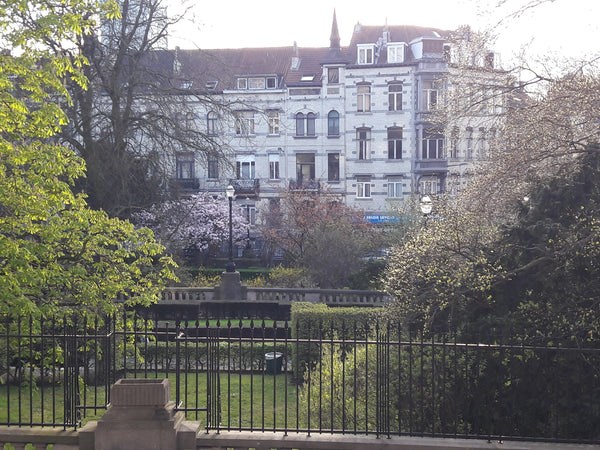 This spacious, bright and charming flat is located on the 1st floor of a buildin Brussels, Belgium Room in charming, bright flat (EU district) Private room in rental unit vacation rental 26091406