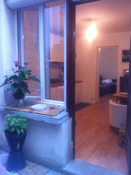 Appartement de 23m2, au rez-de-chaussé, sur cour privative. Il y a un salon avec Paris, France 2 pièces avec petite terrasse Entire rental unit vacation rental 7200666