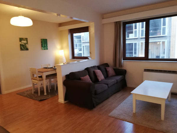 Bel appartement meublé 1 chambre situé à quelques mètres de la place du Châtelai Wavre, Belgium Bel appartement à côté de la place du  Châtelain Entire rental unit vacation rental 46852781