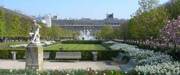 Charmant studio de 17m², à côté du jardin du palais royal et aux portes du Marai Paris, France Studio jardin palais royal Entire rental unit vacation rental 28579016