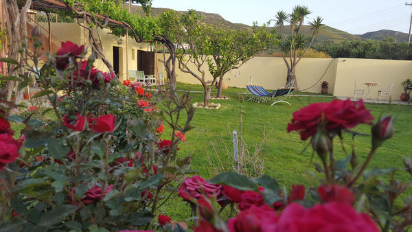 The apartment is located in the beautiful and green village of Trahilas which is Chania, Greece Wester Sun new apartment near Balos & Falassarna Entire rental unit vacation rental 18723778
