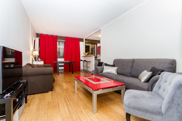 Appartement de 2 pièces agréable et spacieux (50m2). Grand salon avec une belle  Paris, France Appartement cosy 2 pièces, 15eme Entire rental unit vacation rental 4328154