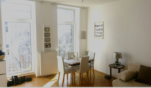 Sunny apartment in Vienna! <br />The flat is super lovely and very spacious for   -Sunny and super cosy apartment in Vienna- Entire rental unit vacation rental 22997238