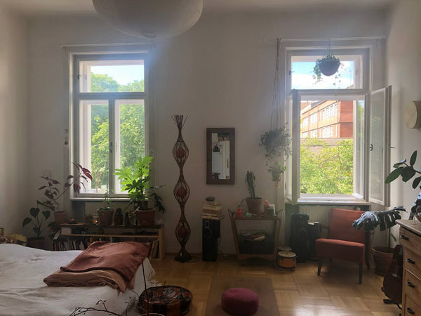 Dieses helle & große Zimmer mit vielen Pflanzen bietet eine Wohlfühloase.<br />< Erding, Germany helles & großes Zimmer  Nähe Hbf Wien Private room in rental unit vacation rental 658433125073579958