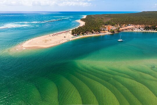 Full Day Gunga Beach Tour from Maceió with Luck Receptivo  Private Tours and Travel Guide America Maceio CITY Maceio Destination Tour