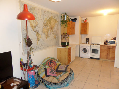 appart sympa a 2 pas des terreaux . lumineux, calme, en rez de chaussé. ideal po Lyon, France grand studio en plein centre calme. Entire rental unit vacation rental 9525071