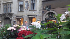 Located in the heart of Vienna, elegantly furnished to feel like a home. Just st Vienna, Austria Сharming 2-rooms apartment in the Heart of Vienna Entire rental unit vacation rental 20071246