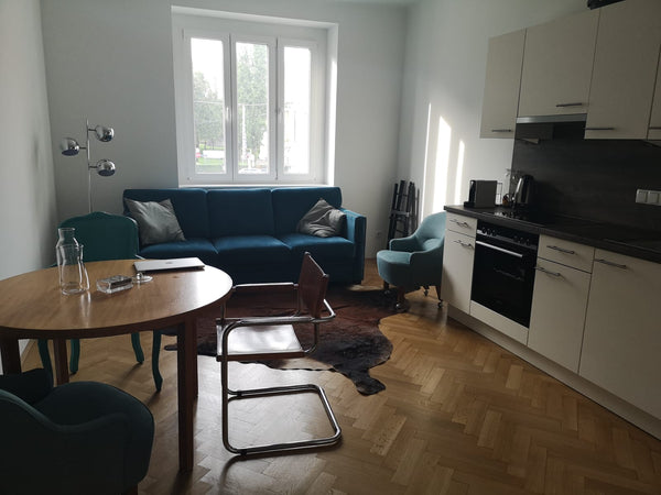The apartment is newly renovated and located in the heart of Vienna. The apartme Altmünster, Austria Lovely apartment in the heart of Vienna Entire rental unit vacation rental 38091153