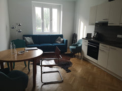 The apartment is newly renovated and located in the heart of Vienna. The apartme Altmünster, Austria Lovely apartment in the heart of Vienna Entire rental unit vacation rental 38091153