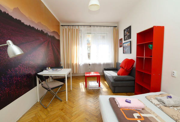 Simple studio in the heart of Prague. Equipped by doublebed and folded sofa with  CITY CENTRE STUDIO Entire rental unit vacation rental 26977041
