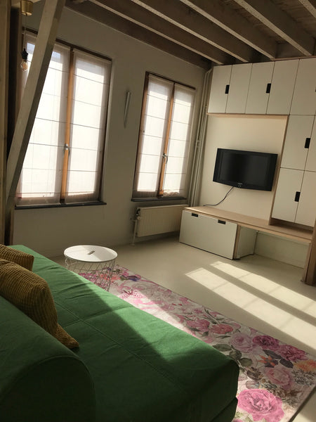 Antwerp, Belgium Cosy city house Entire townhouse vacation rental 26774974