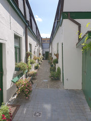 Tiny cottage in an alley, situated in the middle of the fashion, antique and vin  Paardekensgang Entire home vacation rental 47368471