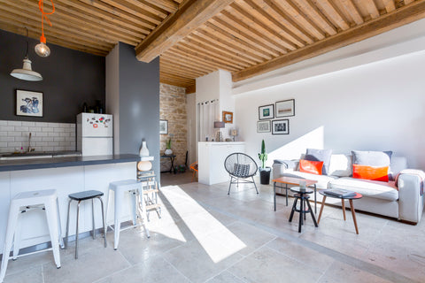 Bel appartement lumineux et calme, avec le cachet de l'ancien et tout le confort Lyon, France Appartement tout confort Entire rental unit vacation rental 9231692