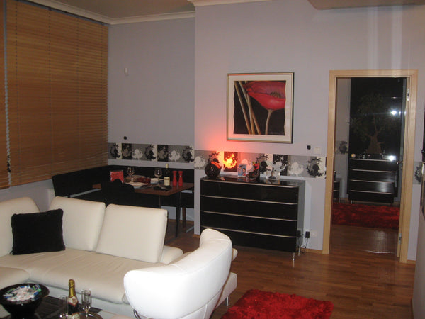 Apartmán zařízený moderním designovým nábytkem maximálně pro 4 osoby s dostatkem  Czech Bohemia Design Apartments Prague Entire rental unit vacation rental 15861683