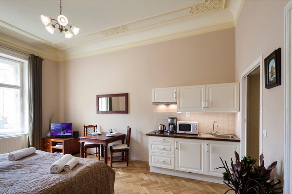 OLD TOWN - STUDIO DUSNI 2C is 31 m2 / 333 ft2 in size with a living bedroom with Prague, Czechia OLD TOWN - STUDIO DUSNI Entire serviced apartment vacation rental 3387737