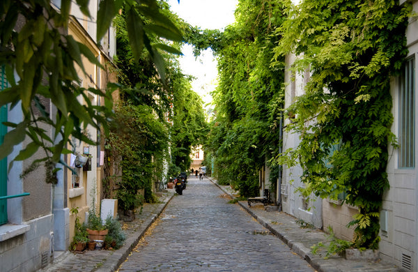 In the center of Paris, 5 m walking from Montparnasse you are in a real small pa Paris, France charming apartment montparnasse Entire rental unit vacation rental 7363426