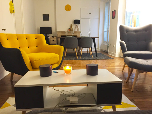 UPDATE DEC 2019 : the bathroom has been fully renovated (see pictures).<br />Ren Paris, France Big, sunny, modern, luxurious & fully furnished Entire rental unit vacation rental 19516684