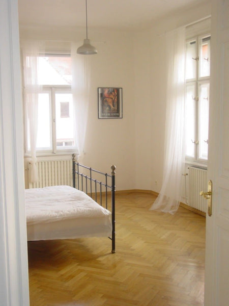Hallo,<br />die Stupartska Strasse befindet sich im Epizentrum des Nachtlebens,  Prague, Czechia The House nearby to Old Town Square Entire rental unit vacation rental 701691