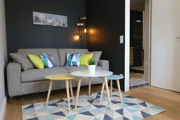 Studio moderne avec Wi-Fi. Proche de la gare Lyon-Perrache et du quartier de la  Lyon, France Cosy Studio en hypercentre Entire rental unit vacation rental 657671025302198899