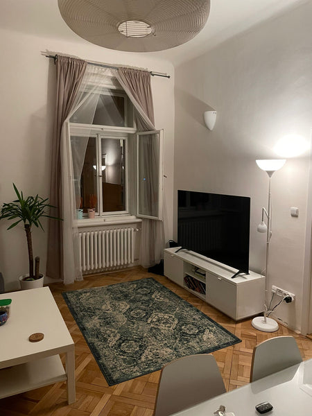 Apartment to share. I rent one room (living room) (couch can be opened)<br /><br Prague, Czechia Behind National Museum - Centered / Safe / Clean Private room in rental unit vacation rental 17750730