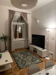 Apartment to share. I rent one room (living room) (couch can be opened)<br /><br Prague, Czechia Behind National Museum - Centered / Safe / Clean Private room in rental unit vacation rental 17750730
