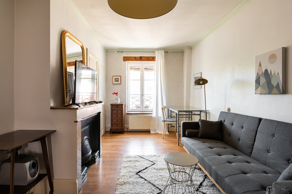 Spacious apartment, with a lot of character and ideally located in the heart of  Lyon, France Dify Adelaïde Perrin Entire rental unit vacation rental 668726144517273215