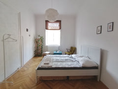 The accommodation is in a large beautiful old-fashioned apartment in the central Vienna, Austria Little Paris in Vienna Private room in rental unit vacation rental 37618447