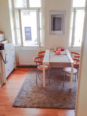 My apartment is nice and cozy with big old windows and a modern bathroom and toi Vienna, Austria Linda's apartment Entire rental unit vacation rental 23364091