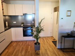 New apartment near "Alte Donau" and the city center (U1 - 20 minutes Stephanspla Austria Moderne Wohnung mit Chill-out Balkon Entire condo vacation rental 684691032383279149