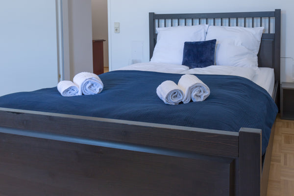 This brand new renovated traditional Viennese Apartment comes with 3 Master Bedr Vienna, Austria Stunning Central Station Residence for large group Entire rental unit vacation rental 25699788