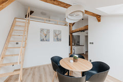 I offer bright, spacious, newly reconstructed 1 bedroom (45 m2) roof top apartme  Roof top apartment MONA in Prague center by river Entire loft vacation rental 42790044