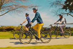 Half Day Guided Tour of Leelanau by e Bicycle  Private Tours and Travel Guide America Detroit CITY Traverse City Destination Tour America Detroit CITY Traverse City