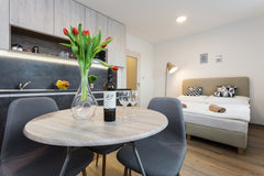 We are offering a studio apartment with sofa and fully equipped kitchen corner.  Prague, Czechia Harfa Studio #3 Entire rental unit vacation rental 31049078