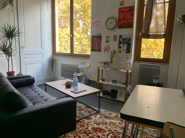 Enjoy a stylish experience at this centrally-located place. <br />A direct view   Studio au centre de lyon Shared room in rental unit vacation rental 766528909939217823