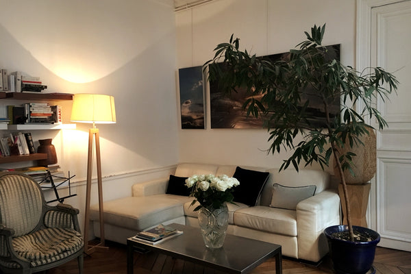 Located in an old xVIII th century building, at the 1 st floor with very high ce Paris, France ⭐️ Little family Cosy Appartement Rue Saint Roch⭐️ Entire rental unit vacation rental 29157783
