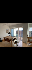 One bedroom penthouse apartment in central Copenhagen. Two big terraces, fully e  Bright beautiful new apartment in Copehagen. Entire condo vacation rental 593140162810005069