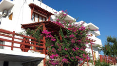 hh  Gia Kara, Reinhilde und Stephanos Private room in home vacation rental 18764652