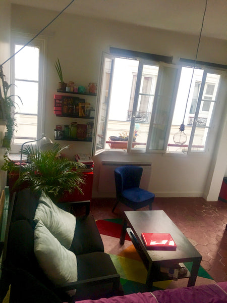 Très charmant et calme studio en plein Paris  dans un passage fleuri et connu po Saint-André-les-Vergers, France Studio situé en plein Paris dans un passage fleuri Entire rental unit vacation rental 20419457