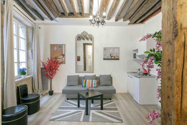 appartement tres calme au cœur du quartier de Notre-Dame, centre de Paris, à que Paris, France A 2 mn de Notre-Dame, possible 7 invités Entire rental unit vacation rental 18321850