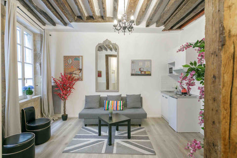 appartement tres calme au cœur du quartier de Notre-Dame, centre de Paris, à que Paris, France A 2 mn de Notre-Dame, possible 7 invités Entire rental unit vacation rental 18321850