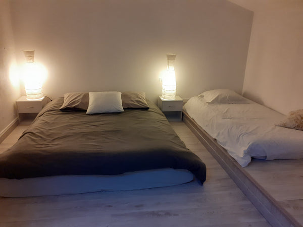 Jolie chambre indépendante dans belle maison typique de Bordeaux donnant sur un  Bordeaux, France Chambre Bordeaux quartier chic Private room in bed and breakfast vacation rental 6750601