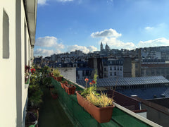 Atelier calme et ensoleillé avec vue imprenable sur Montmartre et les toits de P Paris, France Atelier d'Artiste à Montmartre Entire rental unit vacation rental 4836391