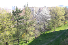 Welcome to our sunny flat in Prague's green residential neighborhood of Strasnic Prague, Czechia Above the Trees - Strasnice Entire condo vacation rental 2848348