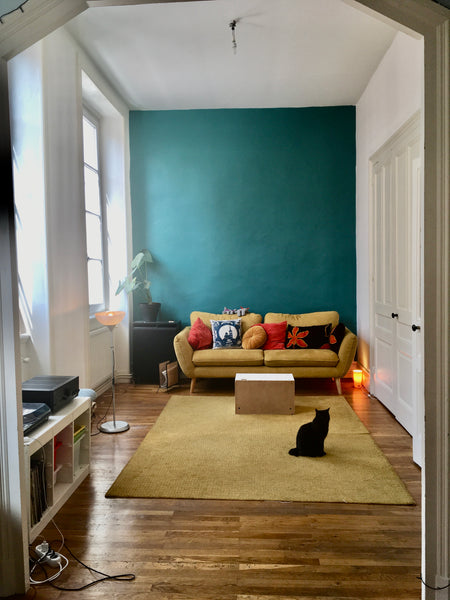 Bonjour !<br />C'est avec plaisir que nous vous accueillons en plein coeur de la Lyon, France Appartement cosy au coeur de la Croix Rousse !! Private room in rental unit vacation rental 52233406