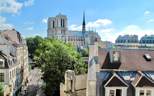 From the windows of this charming Studio, admire the Notre Dame Cathedral and en Paris, France THE MOST ROMANTIC NOTRE DAME Entire rental unit vacation rental 11152609